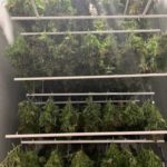 increase drying room capacity overhead racks