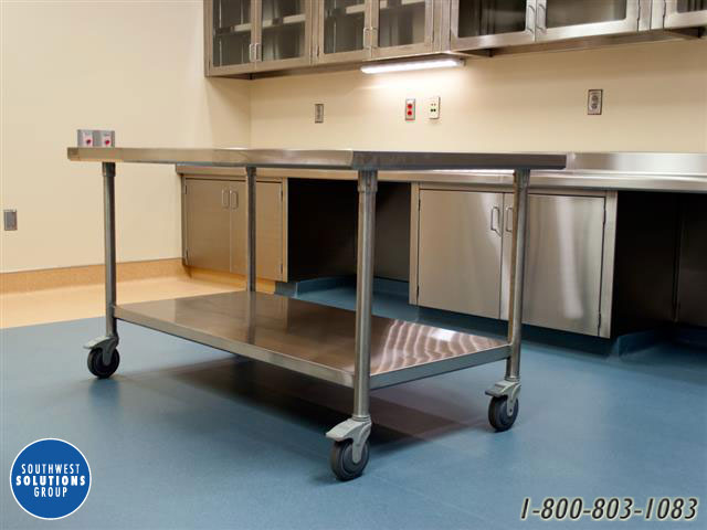 stainless steel veterinary cabinets casework