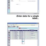 file folder label software