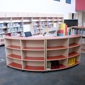 Library Shelving on Wheels
