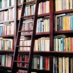 rolling ladder library shelves