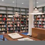rolling ladder shelves library